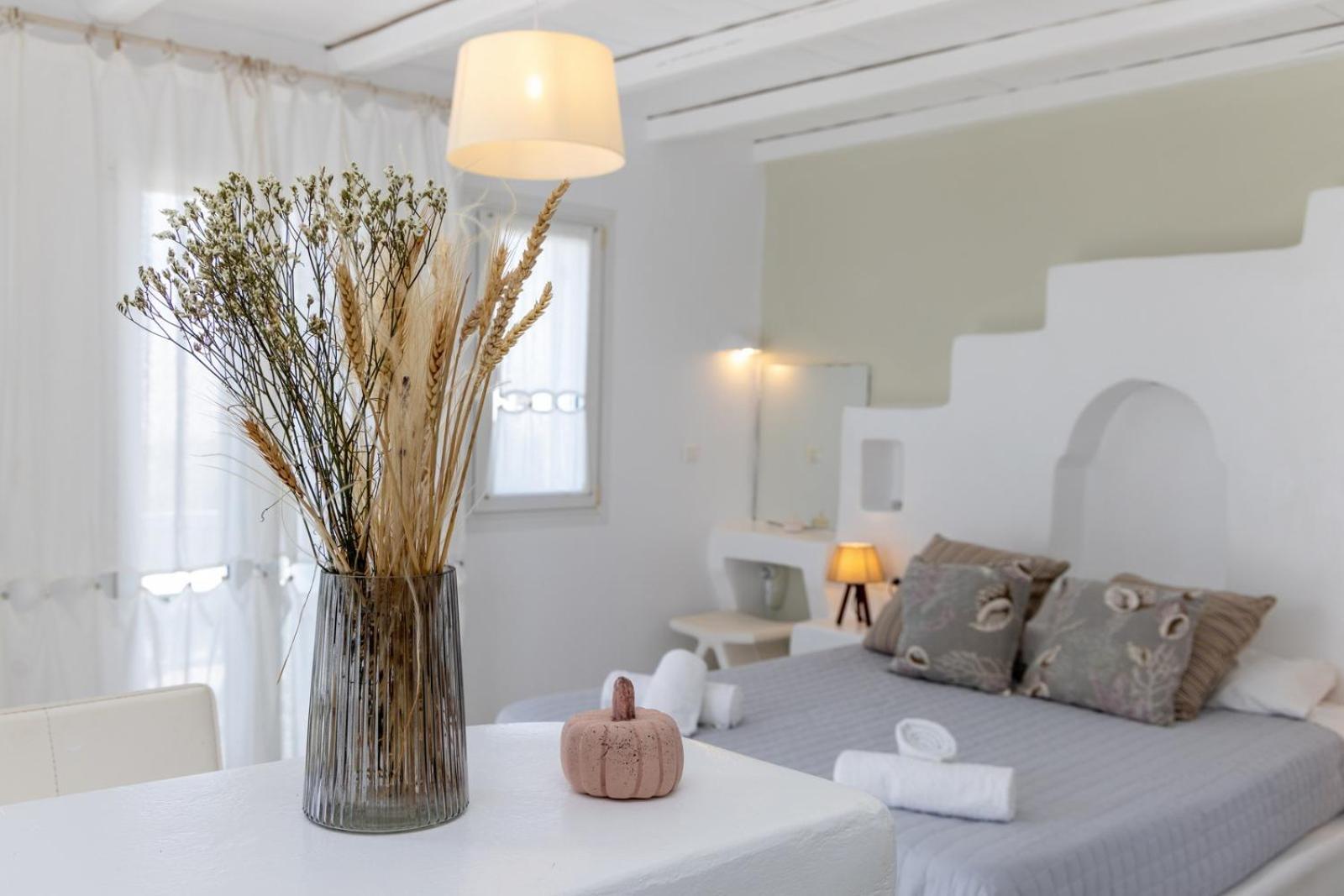Soulmate'S Suites Tinos キオニア エクステリア 写真
